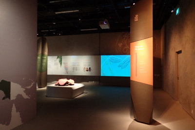 P4260057-copy.jpg