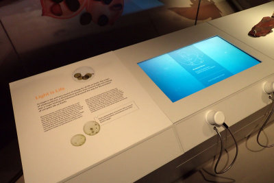 P4260060-copy.jpg