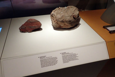 P4260061-copy.jpg