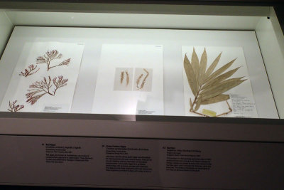 P4260066-copy.jpg
