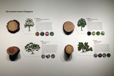P4260068-copy.jpg