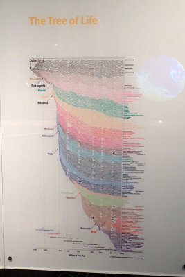 P4260070-copy.jpg