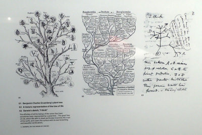 P4260071-copy.jpg