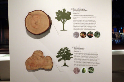 P4260076-copy.jpg