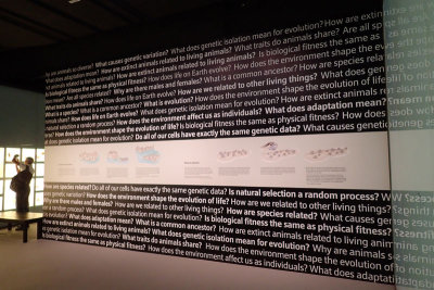 P4260085-copy.jpg