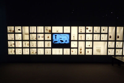 P4260089-copy.jpg
