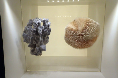 P4260095-copy.jpg