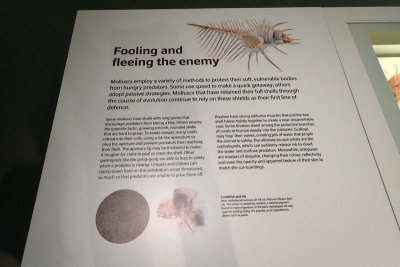 P4260102-copy.jpg