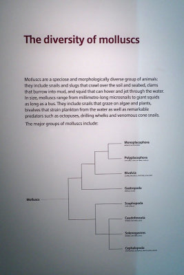 P4260104-copy.jpg