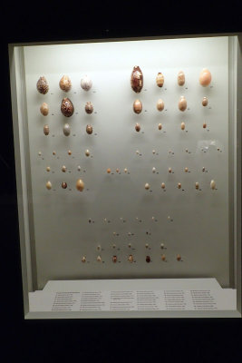 P4260111-copy.jpg