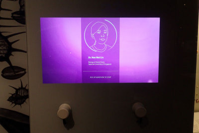 P4260113-copy.jpg