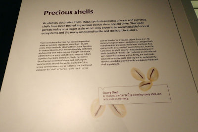 P4260114-copy.jpg