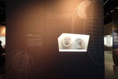 P4260118-copy.jpg
