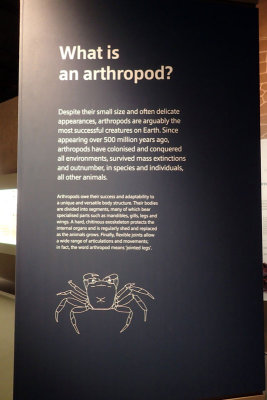 P4260122-copy.jpg