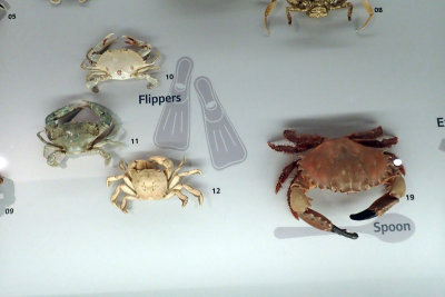 P4260147-copy.jpg