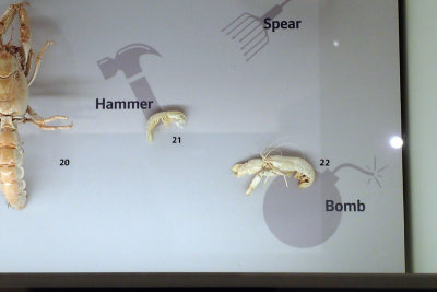 P4260151-copy.jpg