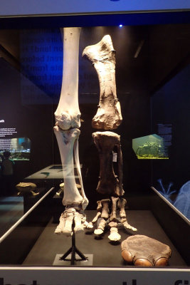 P4260163-copy.jpg