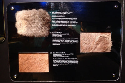 P4260171-copy.jpg