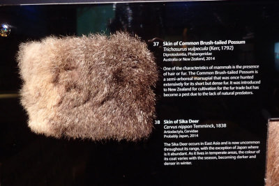 P4260172-copy.jpg