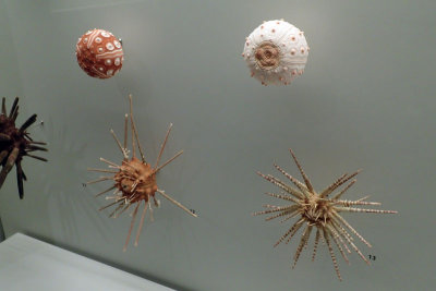 P4260180-copy.jpg