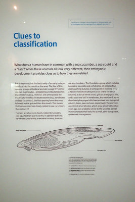 P4260183-copy.jpg