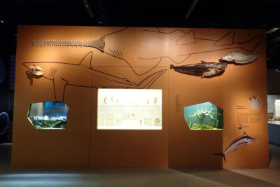 P4260188-copy.jpg
