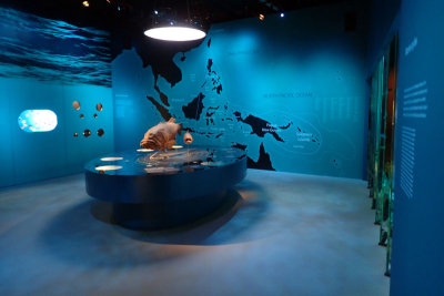 P4260190-copy.jpg