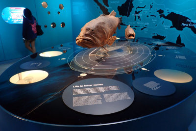 P4260194-copy.jpg