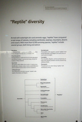 P4260201-copy.jpg