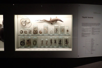 P4260202-copy.jpg