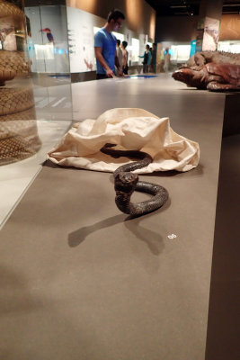 P4260208-copy.jpg