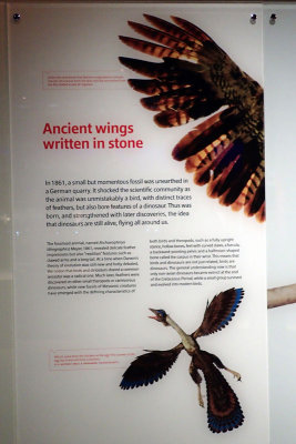 P4260210-copy.jpg