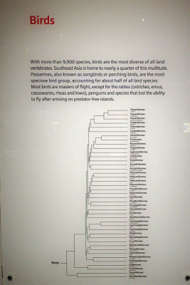 P4260212-copy.jpg