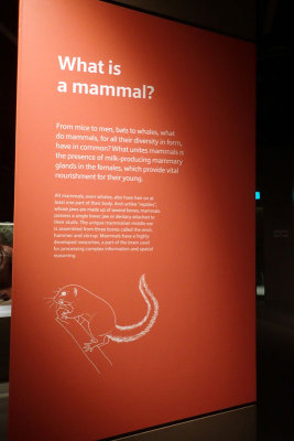 P4260215-copy.jpg