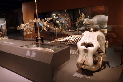P4260221-copy.jpg