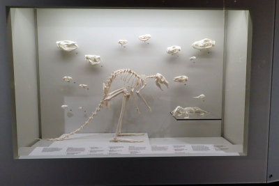 P4260222-copy.jpg