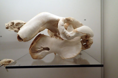 P4260225-copy.jpg