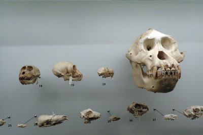 P4260228-copy.jpg