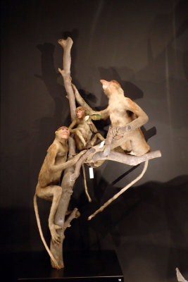 P4260237-copy.jpg