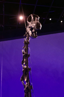 P4260240-copy.jpg