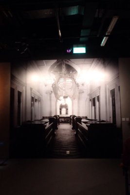 P4260243-copy.jpg