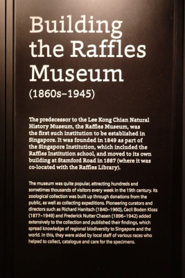 P4260249-copy.jpg