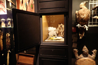P4260252-copy.jpg