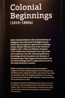 P4260257-copy.jpg