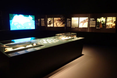 P4260263-copy.jpg