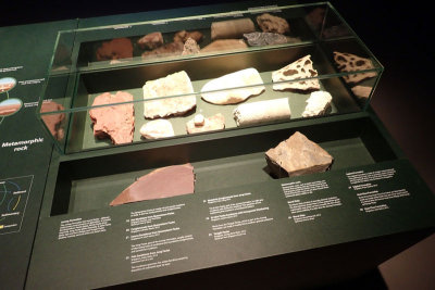 P4260265-copy.jpg
