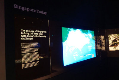 P4260279-copy.jpg