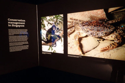 P4260280-copy.jpg