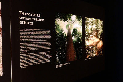 P4260282-copy.jpg