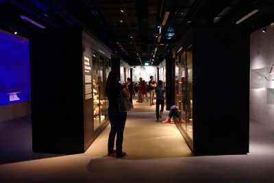 P4260284-copy.jpg